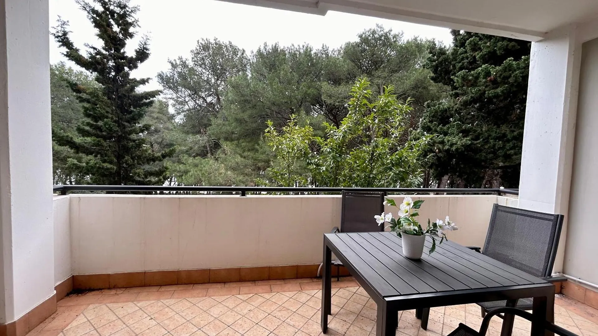Sfinga Verudela - M Pula Apartment